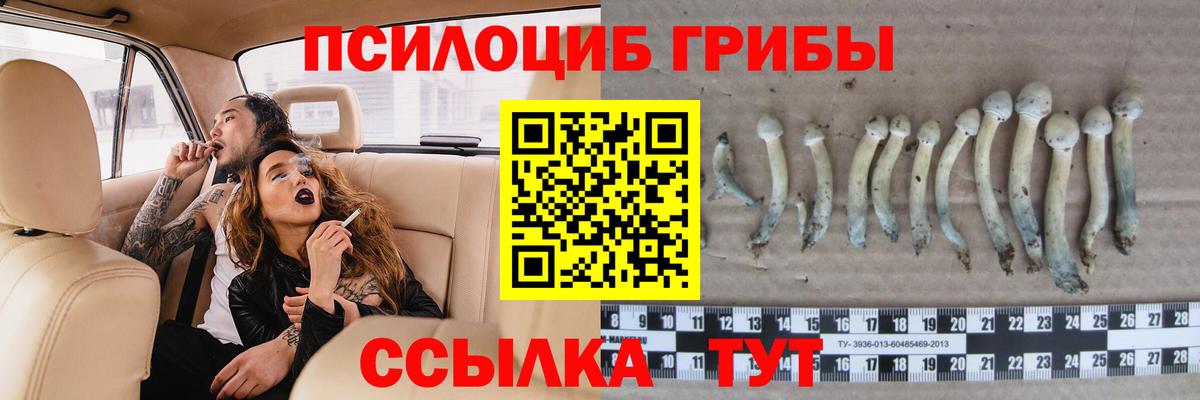 Галлюциногенные грибы Cubensis  Вход с VPN  Мичуринск 